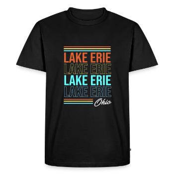 Great Lakes - Men's Premium Organic T-Shirt - black - Front - Nico (187cm)