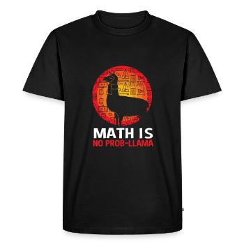 Mathematics - Men's Premium Organic T-Shirt - black - Front - Nico (187cm)
