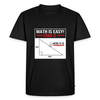 Mathematics - Men's Premium Organic T-Shirt - black - Front - Nico (187cm)