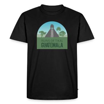 Tikal - Guatemala - Männer Premium Bio T-Shirt - Schwarz - Vorne - Nico (187cm)