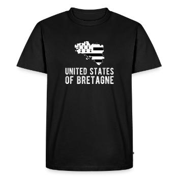 United States of Brittany with Breton flag - Men's Premium Organic T-Shirt - black - Front - Nico (187cm)
