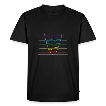 Harmonischer Oszillator - Männer Premium Bio T-Shirt - Schwarz - Vorne - Nico (187cm)