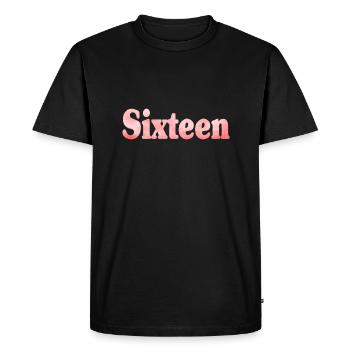 16e anniversaire seize cadeau - T-shirt Premium bio Homme - noir - Devant - Nico (187cm)