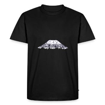 Kilimandjaro montagne Afrique cadeau - T-shirt Premium bio Homme - noir - Devant - Nico (187cm)