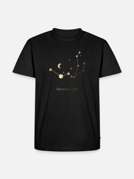 Aquarius/Wassermann - Sternzeichen - Horoskop - Männer Premium Bio T-Shirt - Schwarz