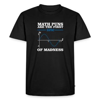 Cadeau scolaire de formule graphique mathématique - T-shirt Premium bio Homme - noir - Devant - Nico (187cm)
