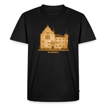 Radebeul Mairie Saxe-Meissen Viticulture Karl May - T-shirt Premium bio Homme - noir - Devant - Nico (187cm)