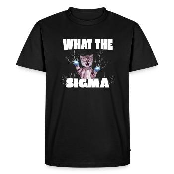 Erm What The Sigma Bro - T-shirt Premium bio Homme - noir - Devant - Nico (187cm)