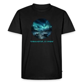 Fimbulwinter is approaching - with epic Northern Lights - Men's Premium Organic T-Shirt - black - Front - Nico (187cm)