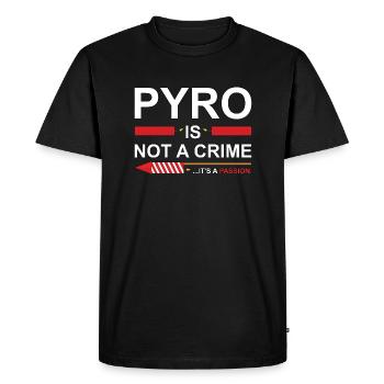 Pyro Is Not A Crime - Men's Premium Organic T-Shirt - black - Front - Nico (187cm)
