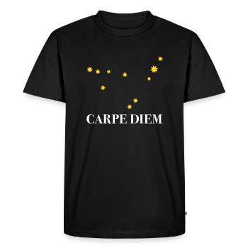 Carpe Diem use the day constellation Capricorn Deneb - Men's Premium Organic T-Shirt - black - Front - Nico (187cm)
