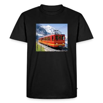 Jungfraujoch - Men's Premium Organic T-Shirt - black - Front - Nico (187cm)