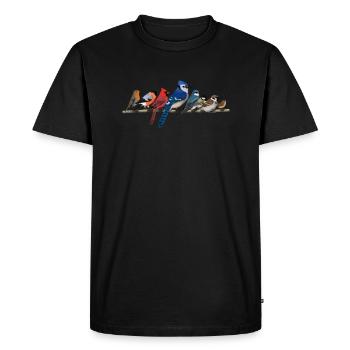 Bunte Vögel Zeichnung Vogelfreund Ornithologe - Männer Premium Bio T-Shirt - Schwarz - Vorne - Nico (187cm)