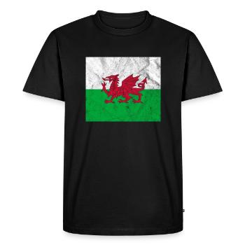 Drapeau du Pays de Galles Vintage - T-shirt Premium bio Homme - noir - Devant - Nico (187cm)