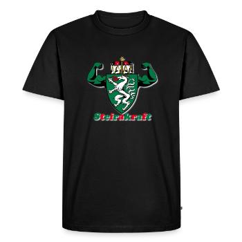 Steirakraft Steiermark Steirer Armoiries Idée Cadeau - T-shirt Premium bio Homme - noir - Devant - Nico (187cm)