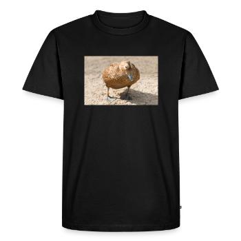 Eider Duck (Eider duck, Somateria mollissima) - Men's Premium Organic T-Shirt - black - Front - Nico (187cm)