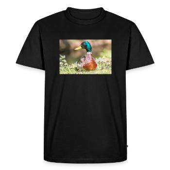 Male Mallard, wild duck (mallard) - Men's Premium Organic T-Shirt - black - Front - Nico (187cm)