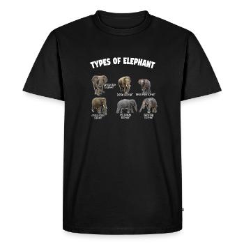 Types of Elephant Elephants of the World Vintage - Men's Premium Organic T-Shirt - black - Front - Nico (187cm)