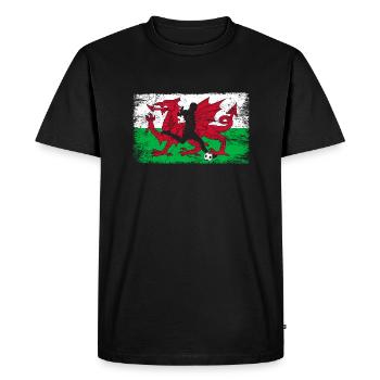 Pays de Galles fan de football de l’équipe galloise - T-shirt Premium bio Homme - noir - Devant - Nico (187cm)