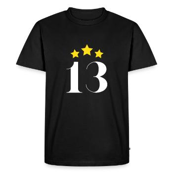 13 ème anniversaire étoilé - T-shirt Premium bio Homme - noir - Devant - Nico (187cm)