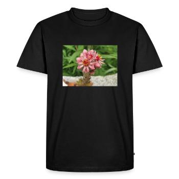 liveforever also hen and chicks Sempervivum - Men's Premium Organic T-Shirt - black - Front - Nico (187cm)