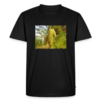 Aleppo pine also Jerusalem pine Aleppo-Kiefer - Men's Premium Organic T-Shirt - black - Front - Nico (187cm)