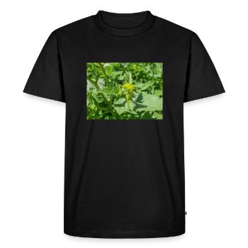 moutarde noire (en allemand Schwarzer Senf) Rhamphosp - T-shirt Premium bio Homme - noir - Devant - Nico (187cm)