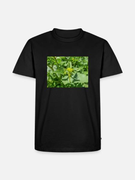 schwarzer Senf Rhamphosp - Männer Premium Bio T-Shirt - Schwarz