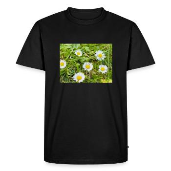 Field of Daisies - Men's Premium Organic T-Shirt - black - Front - Nico (187cm)