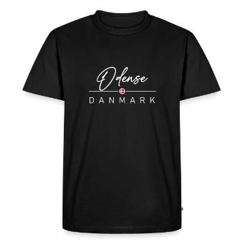 Dänemark - Odense - Danemark - Danemark - T-shirt Premium bio Homme - noir - Devant - Nico (187cm)