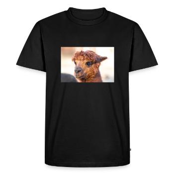 Alpaca (in german Alpaka) Vicugna pacos - Men's Premium Organic T-Shirt - black - Front - Nico (187cm)