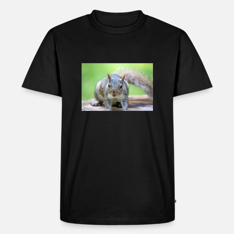 Grauhörnchen Sciurus carolinensis - Männer Premium Bio T-Shirt - Schwarz