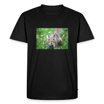Grey squirrel Grauhörnchen Sciurus carolinensis - Men's Premium Organic T-Shirt - black - Front - Nico (187cm)