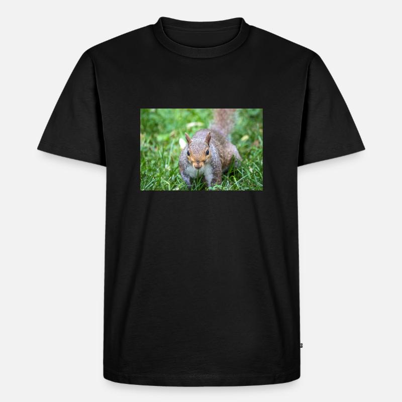 Grey squirrel Grauhörnchen Sciurus carolinensis - Men's Premium Organic T-Shirt - black