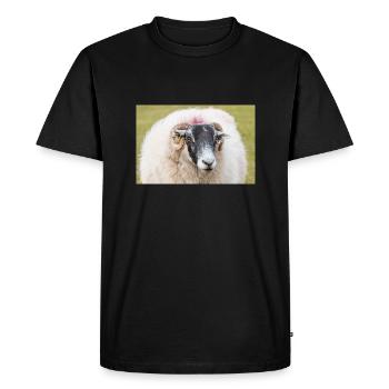 Sheep (in german Schaf) Ovis in Ireland - Men's Premium Organic T-Shirt - black - Front - Nico (187cm)