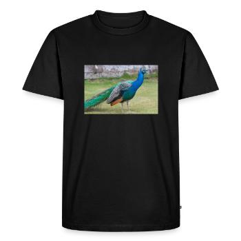 Paon bleu (en allemand Blauer Pfau) Pavo cristatu - T-shirt Premium bio Homme - noir - Devant - Nico (187cm)