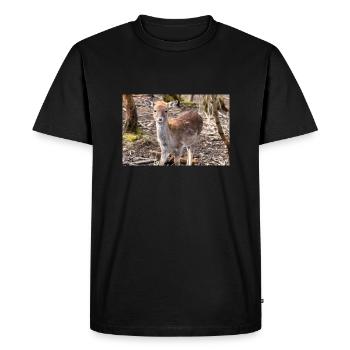 Fallow Deer (in german Damwild or Damhirsch) Dama - Men's Premium Organic T-Shirt - black - Front - Nico (187cm)