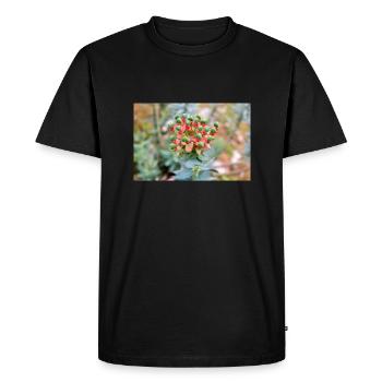 blooming colorful Wolfsmilch (Euphorbia) flower - Men's Premium Organic T-Shirt - black - Front - Nico (187cm)