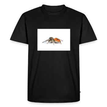 Springspinne Phidippus texanus jumping spider - Men's Premium Organic T-Shirt - black - Front - Nico (187cm)