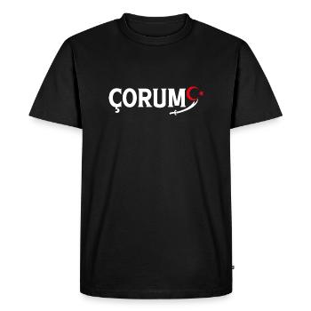 Çorum dinde alevi - T-shirt Premium bio Homme - noir - Devant - Nico (187cm)