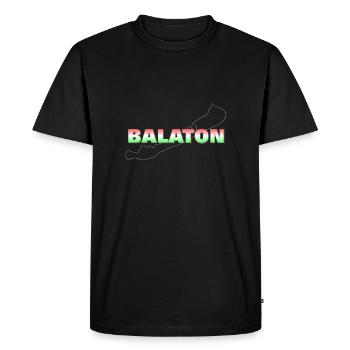 Balaton - T-shirt Premium bio Homme - noir - Devant - Nico (187cm)