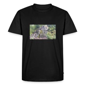 Waterfall - Men's Premium Organic T-Shirt - black - Front - Nico (187cm)