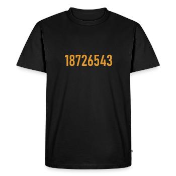 18726543 - LS V8 - Ignition order - Cylinder - Men's Premium Organic T-Shirt - black - Front - Nico (187cm)