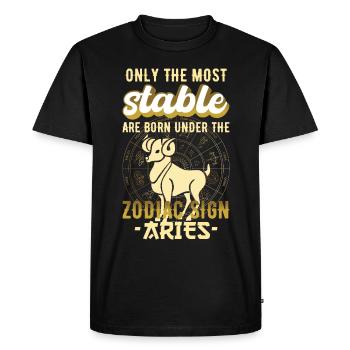 Zodiac Sign Aries Stars Gift - Men's Premium Organic T-Shirt - black - Front - Nico (187cm)
