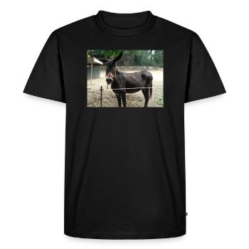 Âne - T-shirt Premium bio Homme - noir - Devant - Nico (187cm)