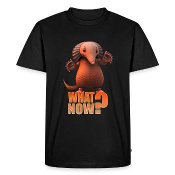 Armadillo Pangolin Et maintenant? - T-shirt Premium bio Homme - noir - Devant - Nico (187cm)