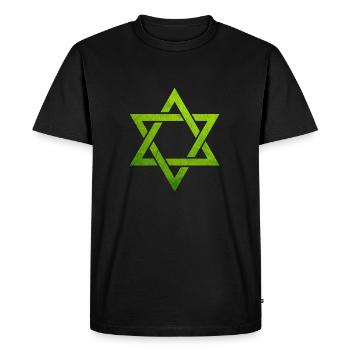 Sweats à capuche juifs verts, symbole juif de l'étoile de David - T-shirt Premium bio Homme - noir - Devant - Nico (187cm)