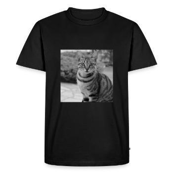 Cat background portrait white-black - Men's Premium Organic T-Shirt - black - Front - Nico (187cm)