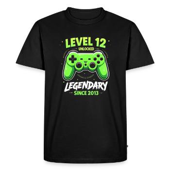 Niveau 12 Anniversaire Jeune Gamer Drôle 2013 - T-shirt Premium bio Homme - noir - Devant - Nico (187cm)