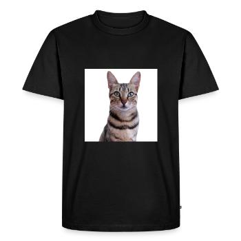 Chat chat chaton doux - T-shirt Premium bio Homme - noir - Devant - Nico (187cm)